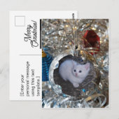 Silver Bulb Full Lijst Briefkaart (Voorkant / Achterkant)