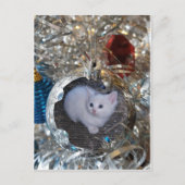 Silver Bulb Full Lijst Briefkaart (Voorkant)