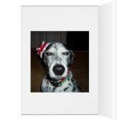 Silver Bulb Reflect (Binnen (Links))