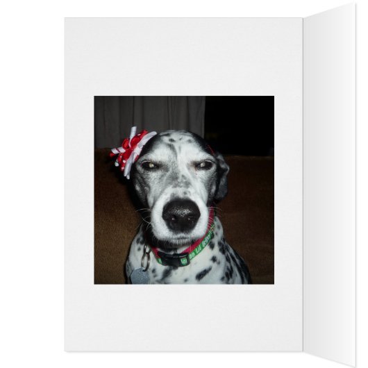 Silver Bulb Reflect (Binnen (Links))