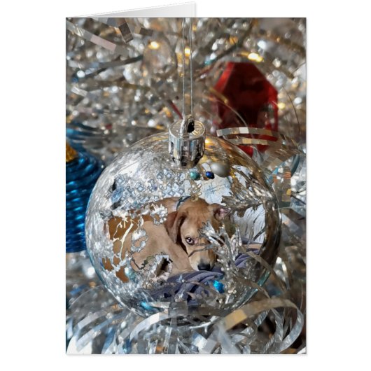 Silver Bulb Reflect (Voorkant)