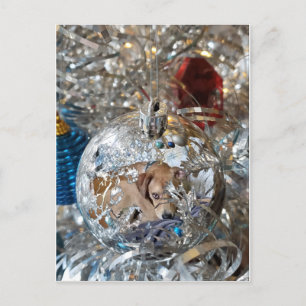 Silver Bulb Reflect Briefkaart