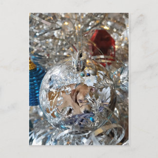 Silver Bulb Reflect Briefkaart