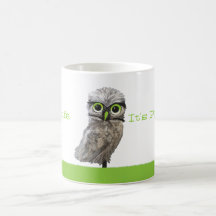Silver Burrowing Owl Cape Coral Florida Artwork