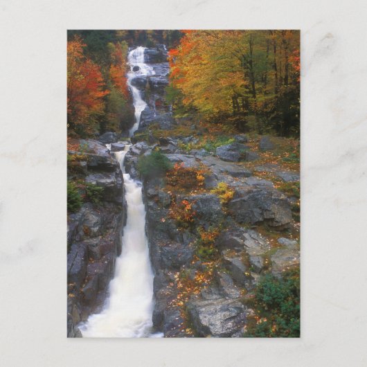 Silver Cascade Autumn Briefkaart (Voorkant)