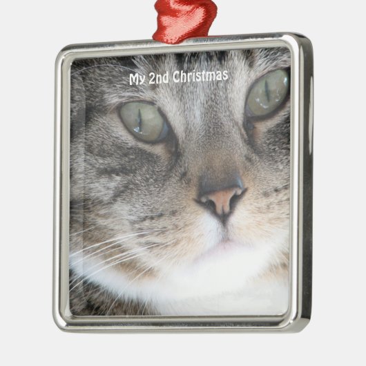 Silver Cat Mijn 2e kerstfoto Metalen Ornament (Links)