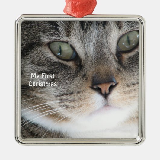 Silver Cat Mijn eerste kerstfoto-Ornamenten Metalen Ornament (Voorkant)