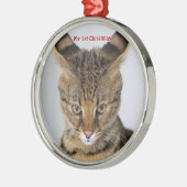 Silver Cat Mijn eerste kerstfoto-Ornamenten Metalen Ornament (Links)