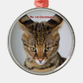 Silver Cat Mijn eerste kerstfoto-Ornamenten Metalen Ornament (Voorkant)