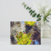 Silver Cholla Cactus Wildblos Briefkaart (Staand voorkant)