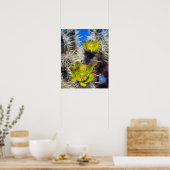 Silver Cholla Cactus Wildblos Poster (Keuken)
