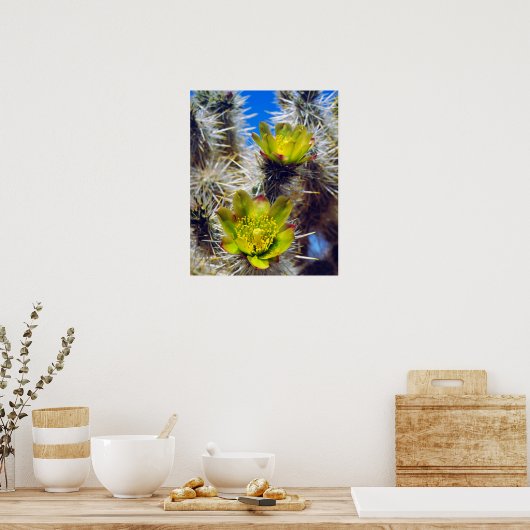 Silver Cholla Cactus Wildblos Poster (Keuken)
