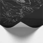 Silver Chrome zoals de dierentuin van de galg op H Cadeaupapier (Hoek)