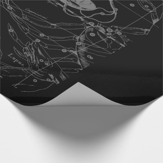 Silver Chrome zoals de dierentuin van de galg op H Cadeaupapier (Hoek)