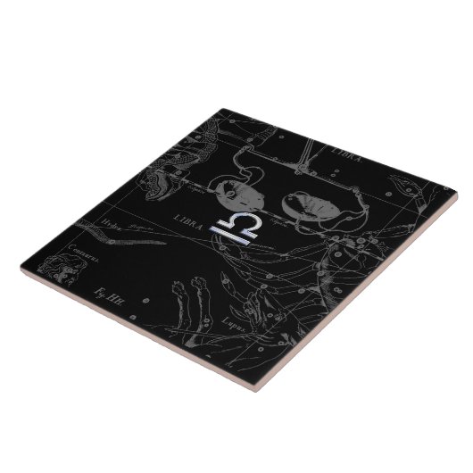 Silver Chrome zoals de dierentuin van de galg op H Tegeltje (Zijkant)