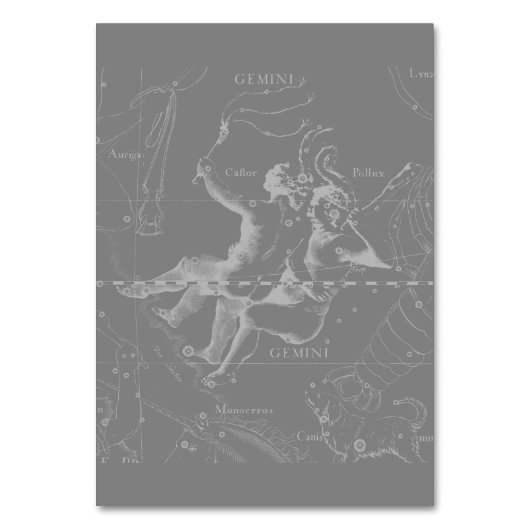 Silver Chrome zoals Gemini Zodiac Sign on Hevelius Kaart (Achterkant)