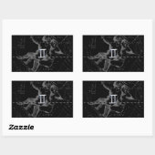 Silver Chrome zoals Gemini Zodiac Sign on Hevelius Rechthoekige Sticker (Vel)