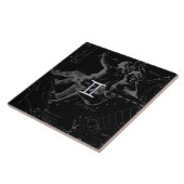 Silver Chrome zoals Gemini Zodiac Sign on Hevelius Tegeltje (Zijkant)