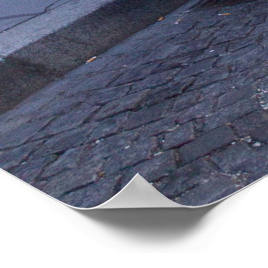 Silver Citroën 2CV Poster (Hoek)