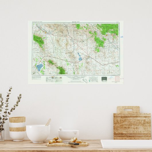 Silver City NM Topo Map Poster (Keuken)