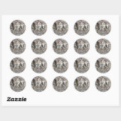 Silver Coin Reward-Stickers Ronde Sticker (Vel)