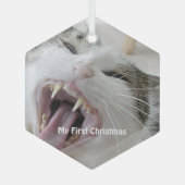 Silver Crazy Cat - Mijn eerste kerstfoto Glas Ornament (Voorkant)