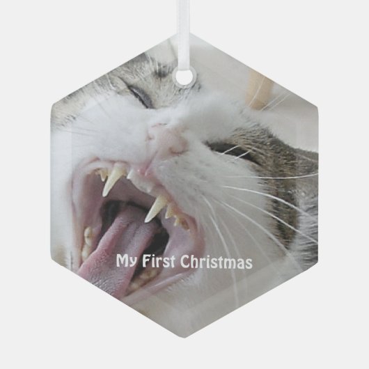 Silver Crazy Cat - Mijn eerste kerstfoto Glas Ornament (Voorkant)