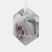 Silver Crazy Cat - Mijn eerste kerstfoto Glas Ornament (Voorkant links)