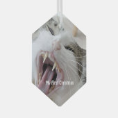 Silver Crazy Cat - Mijn eerste kerstfoto Glas Ornament (Voorkant Rechts)