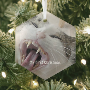 Silver Crazy Cat - Mijn eerste kerstfoto Glas Ornament