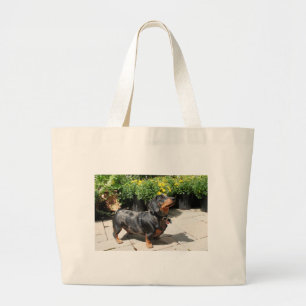 Silver Dapple Dachshund Buddy 2 Grote Tote Bag