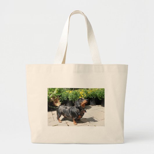 Silver Dapple Dachshund Buddy 2 Grote Tote Bag (Voorkant)
