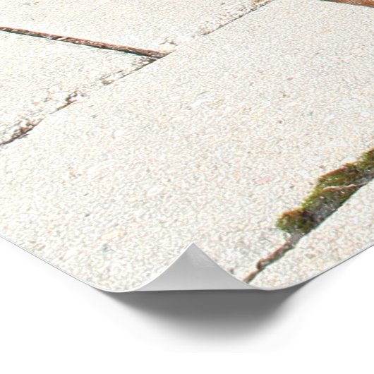 Silver Dapple Dachshund Buddy 2 Poster (Hoek)