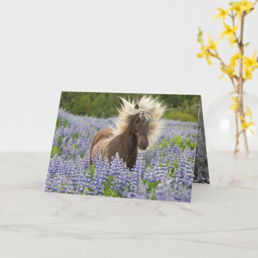 Silver Dapple in het Lupine Horse Wenskaart Kaart (Gele Bloem)