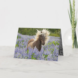Silver Dapple in het Lupine Horse Wenskaart Kaart