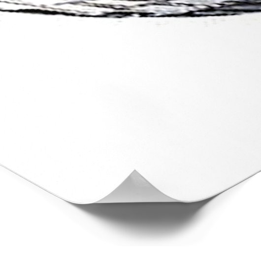 Silver Disco Ball Poster (Hoek)