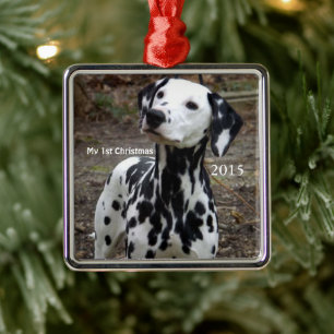Silver Dog Mijn eerste kerstfoto-Ornamenten Metalen Ornament