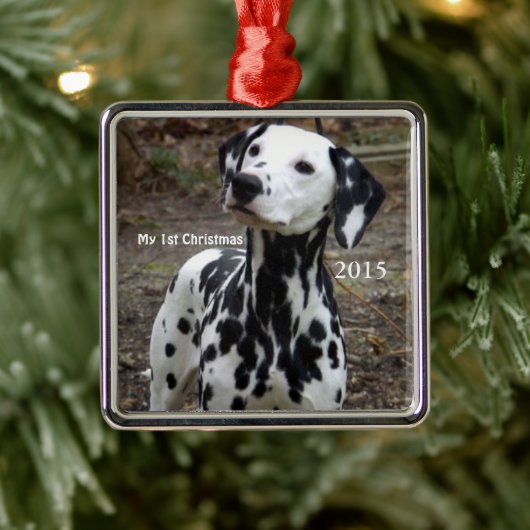 Silver Dog Mijn eerste kerstfoto-Ornamenten Metalen Ornament (Boom)