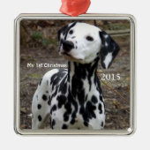 Silver Dog Mijn eerste kerstfoto-Ornamenten Metalen Ornament (Voorkant)