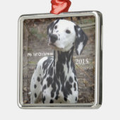 Silver Dog Mijn eerste kerstfoto-Ornamenten Metalen Ornament (Links)