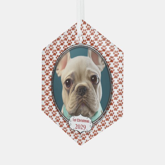 Silver Dog Paws Mijn Eerste Kerstmis Foto Ornament (Voorkant links)