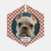 Silver Dog Paws Mijn Eerste Kerstmis Foto Ornament (Achterkant)