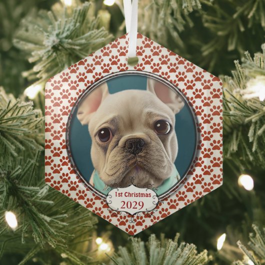 Silver Dog Paws Mijn Eerste Kerstmis Foto Ornament (Insitu)