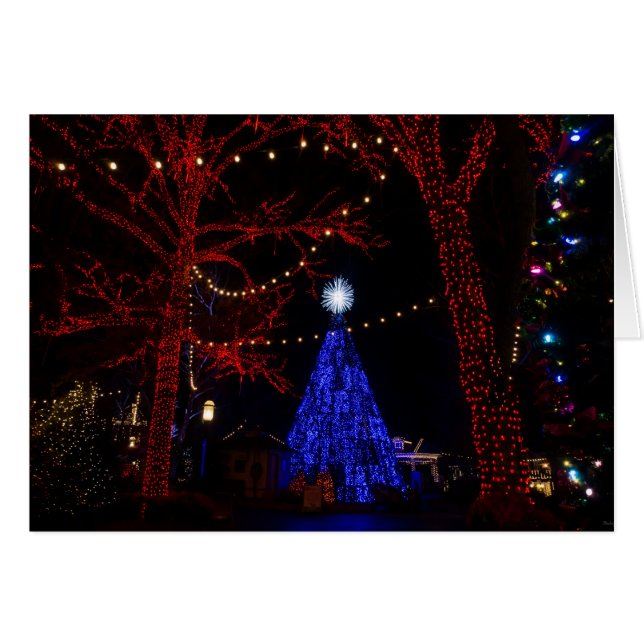 Silver Dollar City Kerstmis (Voorkant Horizontaal)