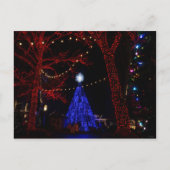 Silver Dollar City Kerstmis Feestdagenkaart (Voorkant)