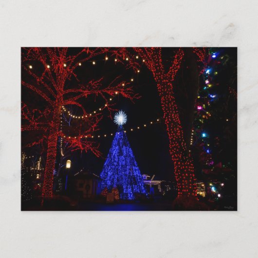 Silver Dollar City Kerstmis Feestdagenkaart (Voorkant)