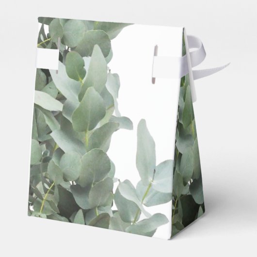 Silver Dollar Eucalyptus Weddenschap Bedankdoosjes (Achterkant)