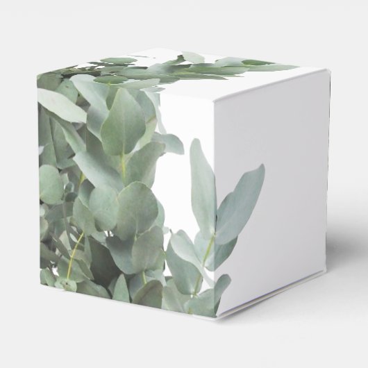 Silver Dollar Eucalyptus Weddenschap Bedankdoosjes (Achterkant)