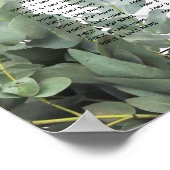 Silver Dollar Eucalyptus Weddenschap Grafiek Poster (Hoek)