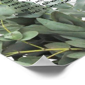 Silver Dollar Eucalyptus Weddenschap Grafiek Poster (Hoek)